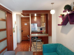 Departamento con encanto cerca de Bellas Artes y Lastarria